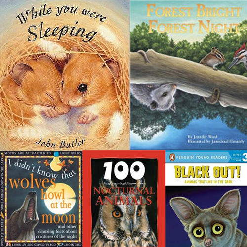 Read and Shine » STEM Reading List: Nocturnal Animals